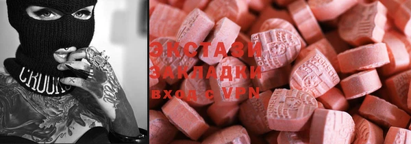 стаф Аркадак