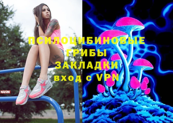 гидропоника Арсеньев