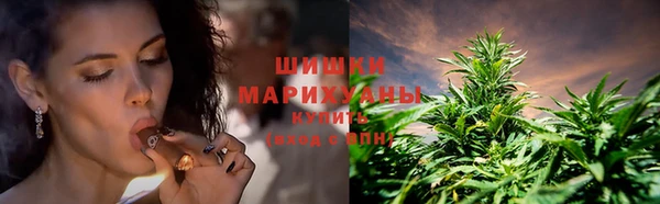 стаф Аркадак