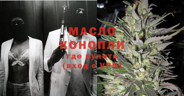стаф Аркадак