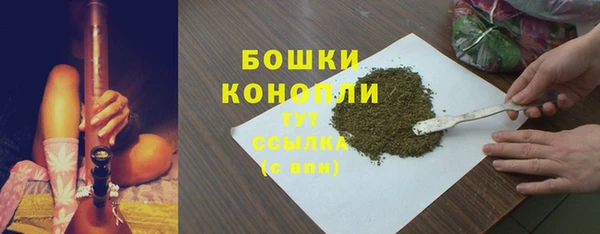 стаф Аркадак