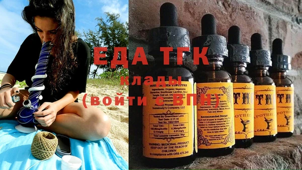 стаф Аркадак