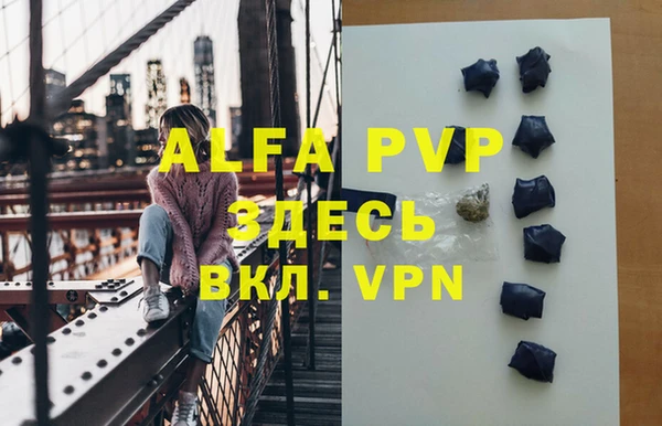 стаф Аркадак
