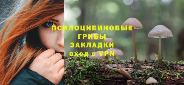 молекула духа Армянск