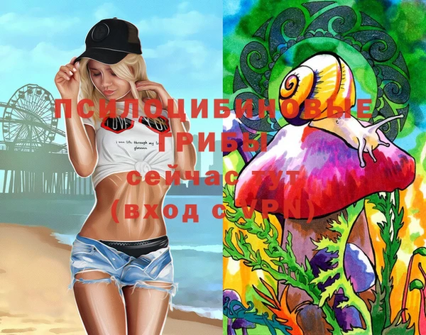 стаф Аркадак