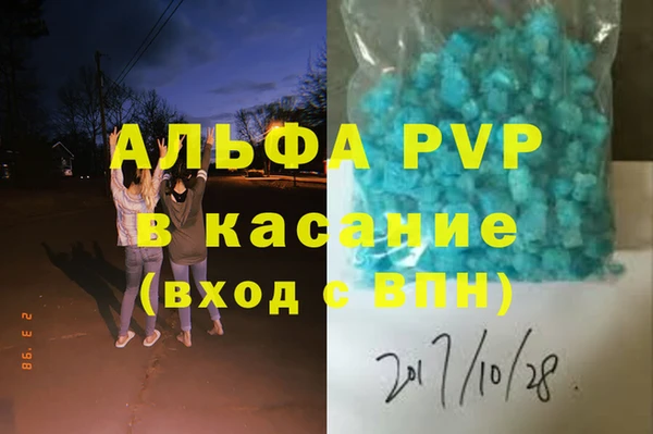 стаф Аркадак