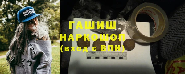 стаф Аркадак